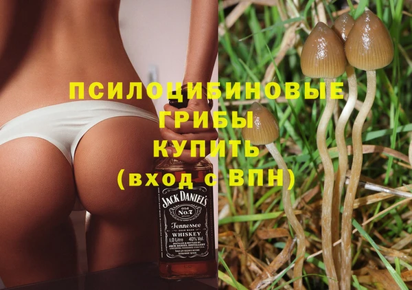 Альфа ПВП Горнозаводск